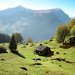 Eiger-1 By Interhome Lejlighed