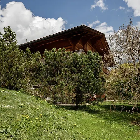 Apartment Chalet Eiger-1 By Interhome Apartment *