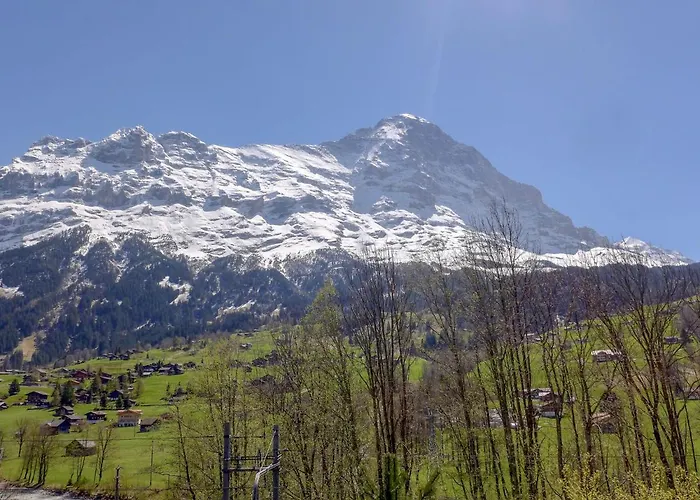 Eiger-1 By Interhome Apartament Grindelwald