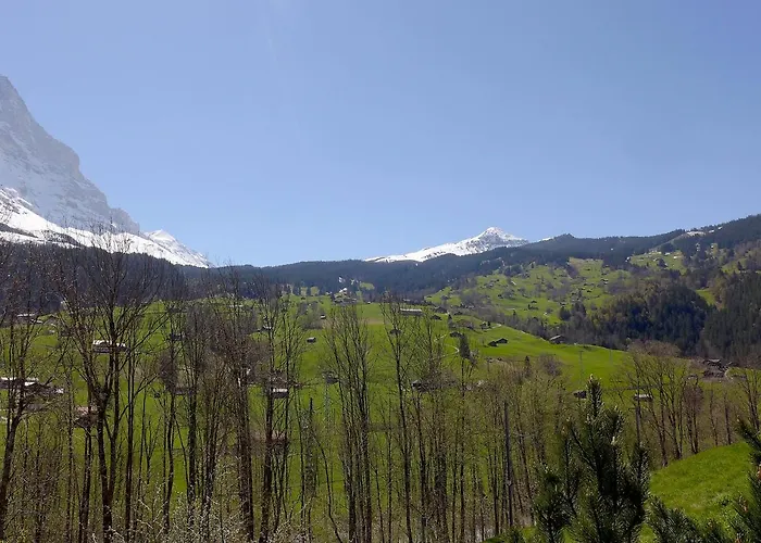 Lejlighed Eiger-1 By Interhome *