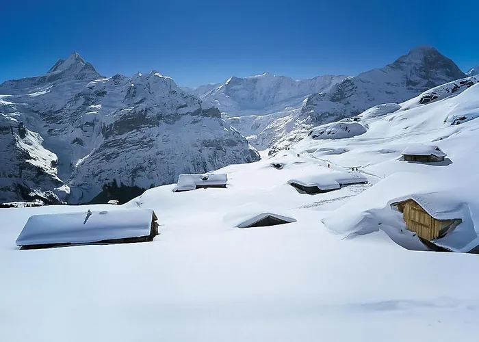 公寓 Eiger-1 By Interhome 格林德瓦